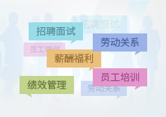 焦作任職資格體系認證體系建設